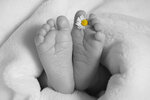 Wunschzettel Babyparty