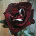 Wunschzettel für Hochzeit von Tobias&Sylvia